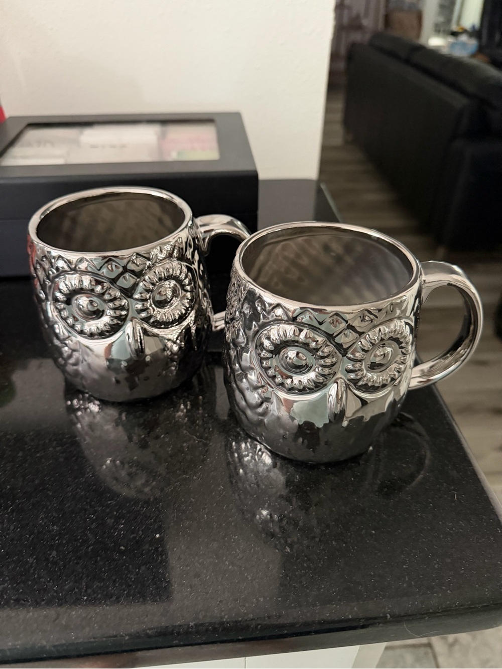 Home Essentials 20oz Silver Owl Ceramic Mugs - Set of 2